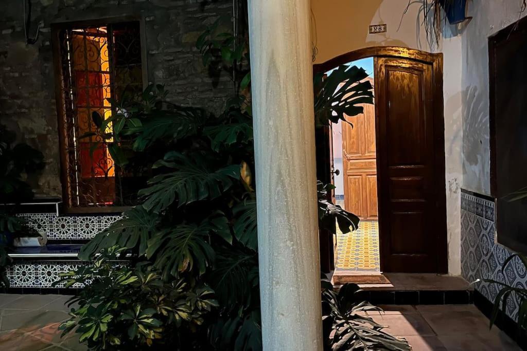Apartament Patio De La Corredera Kordoba Zewnętrze zdjęcie
