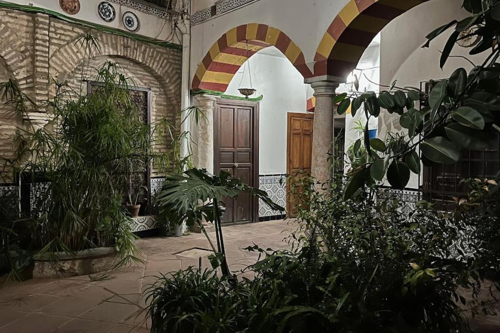 Apartament Patio De La Corredera Kordoba Zewnętrze zdjęcie