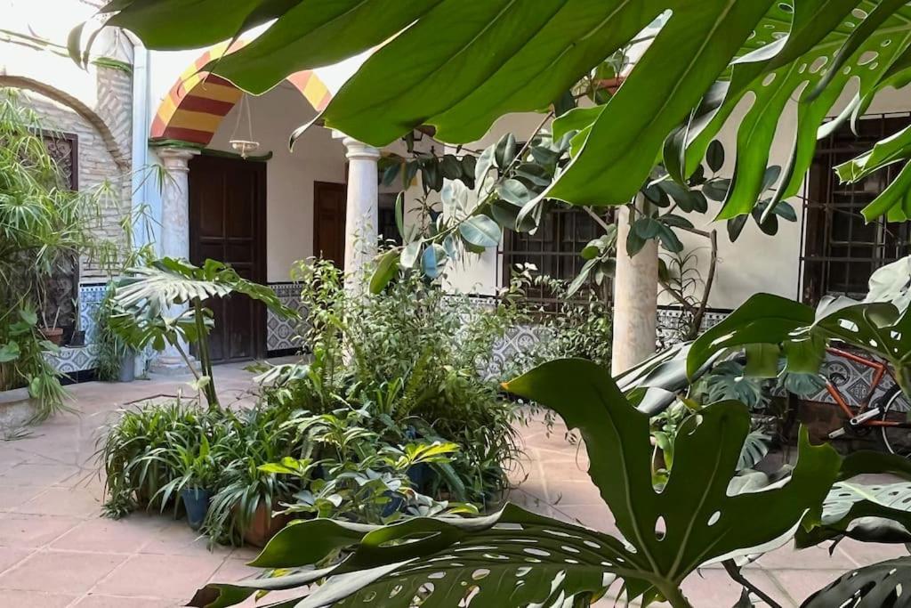 Apartament Patio De La Corredera Kordoba Zewnętrze zdjęcie