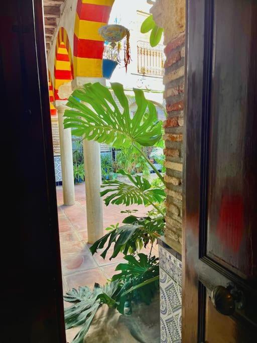 Apartament Patio De La Corredera Kordoba Zewnętrze zdjęcie