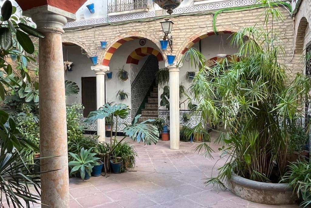Apartament Patio De La Corredera Kordoba Zewnętrze zdjęcie